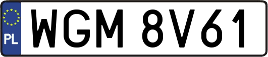 WGM8V61
