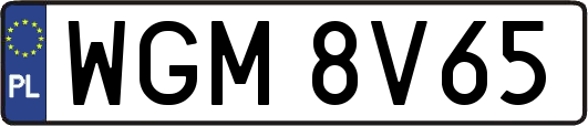 WGM8V65