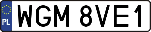 WGM8VE1