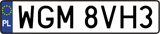 WGM8VH3
