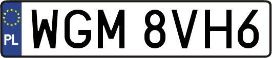 WGM8VH6