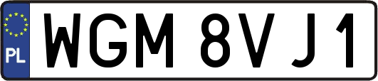 WGM8VJ1