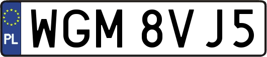 WGM8VJ5