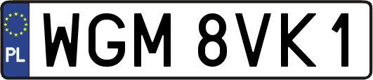 WGM8VK1