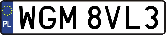 WGM8VL3