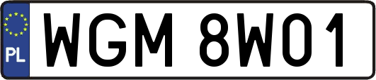WGM8W01