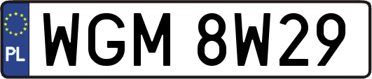 WGM8W29