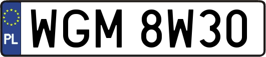 WGM8W30