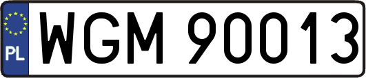 WGM90013