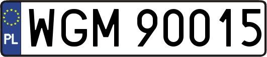 WGM90015