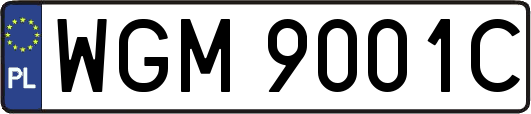 WGM9001C