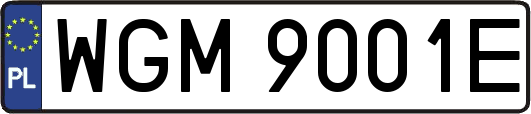 WGM9001E