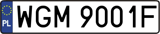 WGM9001F