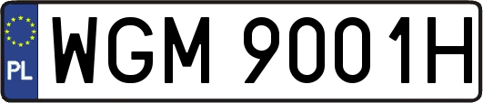 WGM9001H