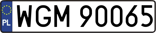 WGM90065
