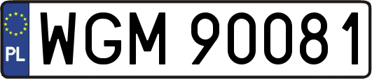 WGM90081