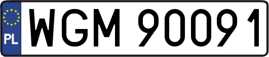WGM90091