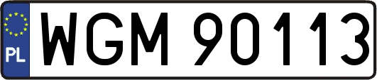 WGM90113