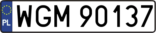 WGM90137