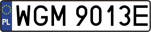 WGM9013E