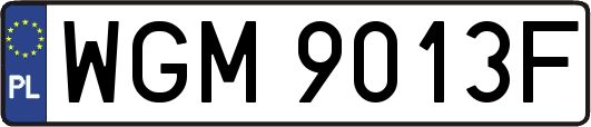 WGM9013F