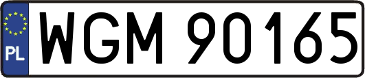 WGM90165