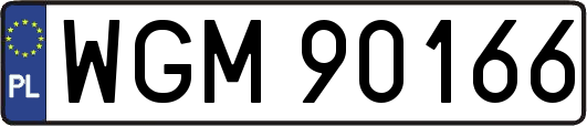 WGM90166