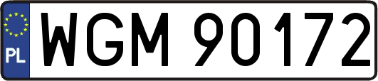 WGM90172