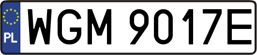 WGM9017E
