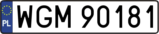 WGM90181