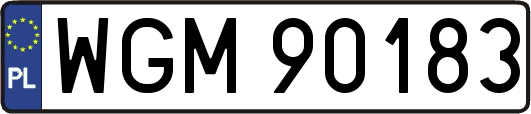 WGM90183