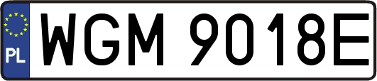 WGM9018E