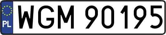 WGM90195