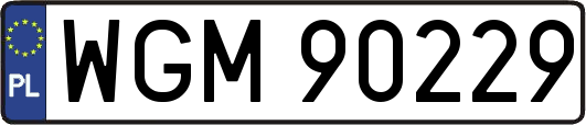 WGM90229