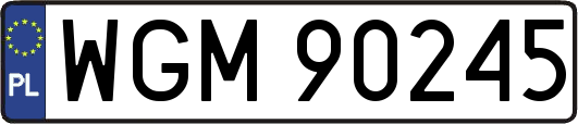 WGM90245