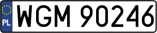 WGM90246
