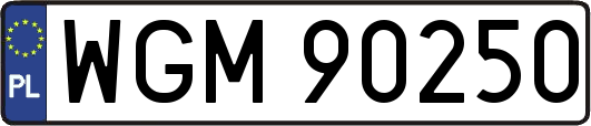 WGM90250