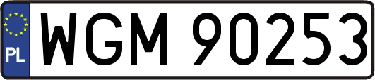 WGM90253