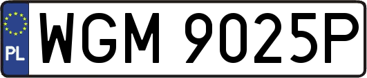 WGM9025P