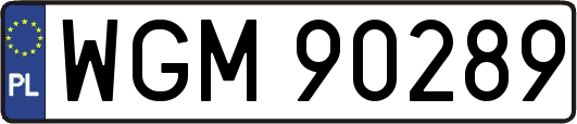 WGM90289