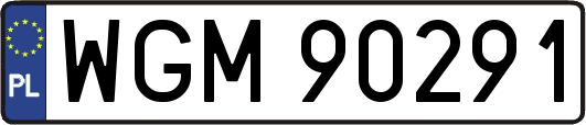 WGM90291