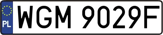 WGM9029F