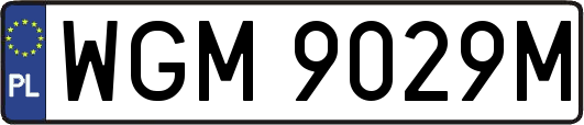 WGM9029M