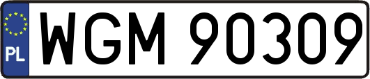 WGM90309