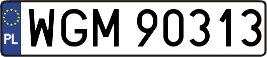 WGM90313