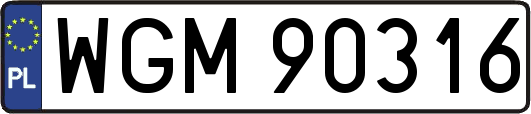 WGM90316