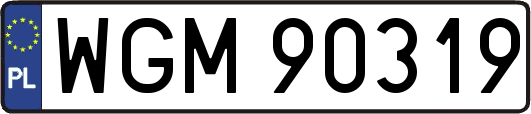 WGM90319