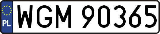 WGM90365