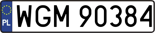 WGM90384