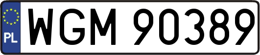 WGM90389